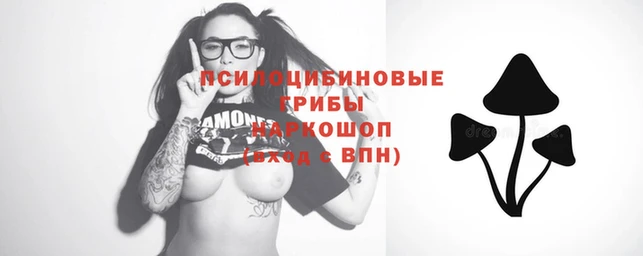 скорость Балахна