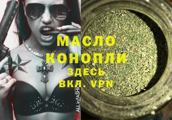 индика Аркадак