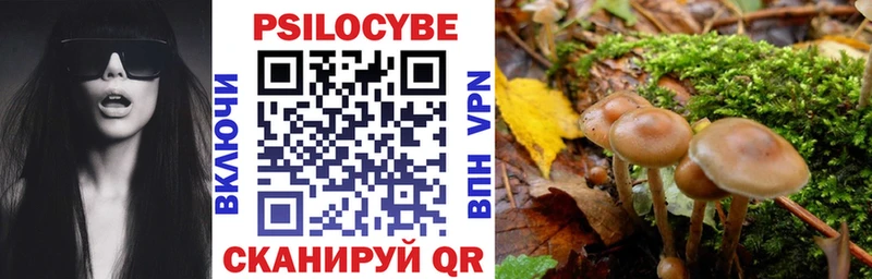 Псилоцибиновые грибы Psilocybe  мега зеркало  Серов 